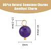 80Pcs Natural Amethyst Round Charms PALLOY-DC00001-2