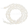   1 Strand Natural Cultured Freshwater Pearl Beads Strands PEAR-PH0001-16-1