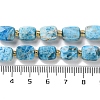 Natural Apatite Beads Strands G-H061-A04-01-5