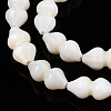 Natural Freshwater Shell Beads Strands SHEL-N036-02-3