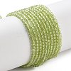 Natural Peridot Beads Strands G-B107-A06-01A-1