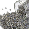 TOHO 11/0 Round Beads SEED-TR11-0176F-1