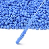 Glass Seed Beads SEED-A010-3mm-43B-2