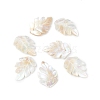 Natural Sea Shell Pendants SSHEL-K001-002-2