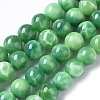 Natural Peacock Agate Beads Strands G-I259-09B-1
