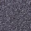 MIYUKI Delica Beads SEED-X0054-DB1486-3