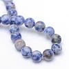 Round Dyed Natural Blue Spot Jasper Bead Strands G-R345-6mm-14-3