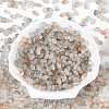 Frosted Glass Seed Beads SEED-N008-05H-2