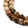 Natural Picture Jasper Beads Strands G-Z068-B02-01-4