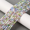 Faceted Glass Beads Strands GLAA-G074-A02-1-1