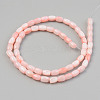 Natural Freshwater Shell Beads Strand SHEL-T017-39B-2