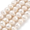 Natural Cultured Freshwater Pearl Beads Strands PEAR-C003-15B-1