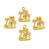 Rack Plating Alloy Enamel Pendants with Jump Ring ENAM-M048-21MG-A-4