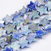 Freshwater Shell Beads Strands SHEL-N026-08E-1