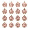 Golden Plated Alloy Enamel Charms ENAM-S118-07U-2