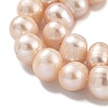 Natural Cultured Freshwater Pearl Beads Strands PEAR-C003-19B-4