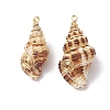 Natural Spiral Shell Pendants PALLOY-JF03316-01-1