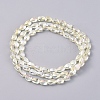 Electroplate Glass Beads Strands EGLA-G036-A-FR02-2