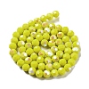 Opaque Glass Beads Strands EGLA-A035-P10mm-L04-2