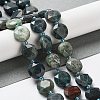 Natural Chrysocolla Beads Strands G-NH0004-034-2