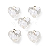 Transparent Resin Enamel Pendants RESI-D076-01D-1