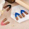 Biyun DIY V-shape Dangle Earrings Making Kit DIY-BY0001-42-18