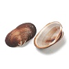 Natural Shell Beads BSHE-H015-07-2