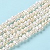 Natural Cultured Freshwater Pearl Beads Strands PEAR-E018-45-2