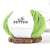 Milk Cotton Knitting Yarn PW-WGC6668-05-1