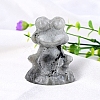 Natural Black Moonstone Carved Frog Figurines PW-WG2CFF8-04-1