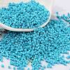 Baking Paint Glass Seed Beads SEED-S042-05B-58-1