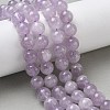 Natural Lavender Amethyst Beads Strands G-F306-11-10mm-01-1