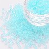 8/0 Transparent Glass Seed Beads SEED-S048-P-003-1