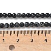 Dyed Natural Regalite/Imperial Jasper/Sea Sediment Jasper Beads Strands G-B124-C05-05-2