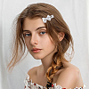 Zinc Alloy & Iron Alligator Hair Clips PHAR-SP0001-04B-7