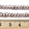 Natural Cultured Freshwater Pearl Beads Strands PEAR-C003-33C-5