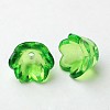 Transparent Acrylic Beads X-PL548-3-1