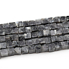 Natural Larvikite Beads Strands G-G002-A08-3