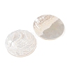 Natural White Shell Cabochons SSHEL-C012-10-2