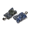 Natural Blue Spot Jasper Pendants G-B127-09P-09-2