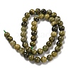 Natural Green Tourmaline Beads Strands G-B099-C05-04-3