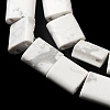 Natural Howlite Beads Strands G-F762-A12-01-4