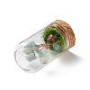 Natural Flower Amazonite Chips Money Tree in Dome Glass Bell Jars with Wood Base Display Decorations DJEW-K030-02E-2