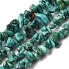 Natural HuBei Turquoise Bead Strands G-H345-A01-09-2