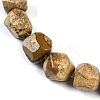 Natural Picture Jasper Nuggets Beaded Necklaces for Women Men NJEW-K388-01F-2