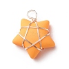 Opaque Resin Pendants PALLOY-JF01849-02-2