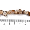 Natural Picture Jasper Nuggets Beads Strands G-B125-A10-01-4