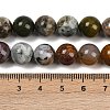 Natural Ocean Agate/Ocean Jasper Beads Strands G-G772-06-B-01-3
