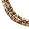 Natural Picture Jasper Beads Strands G-P457-B01-52-4