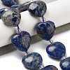 Natural Sodalite Beads Strands G-C150-A29-01-1